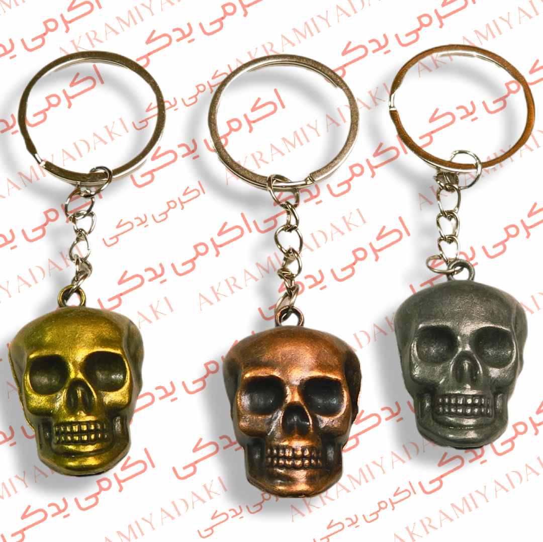 جاکلیدی اسکلت فلزی بسته 1 عددی کد 0498554